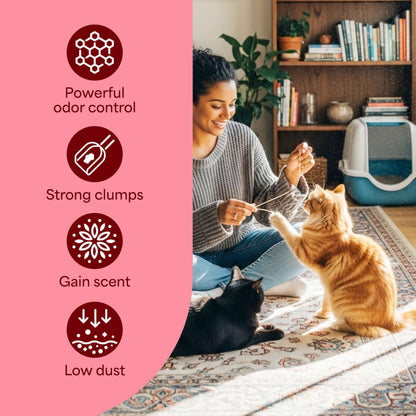 Fresh Step Clumping Cat Litter with Febreze Gain Scent, Long Lasting Odor Control Kitty Litter with Activated Charcoal, Low Dust Formula, 14 lb Fresh Step