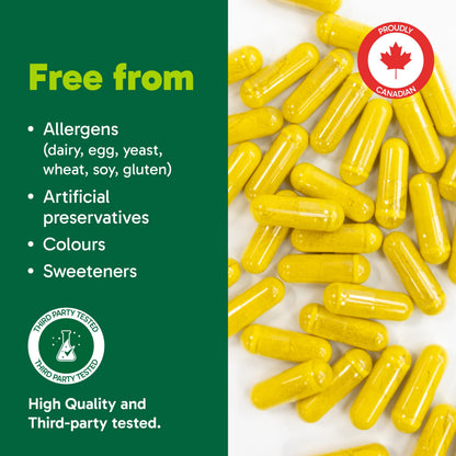 Organika Berberine - High Potency 1000mg per Day, Cholesterol and Glucose Metabolism Support, Helps Maintain Cardiovascular Health - 60vcaps