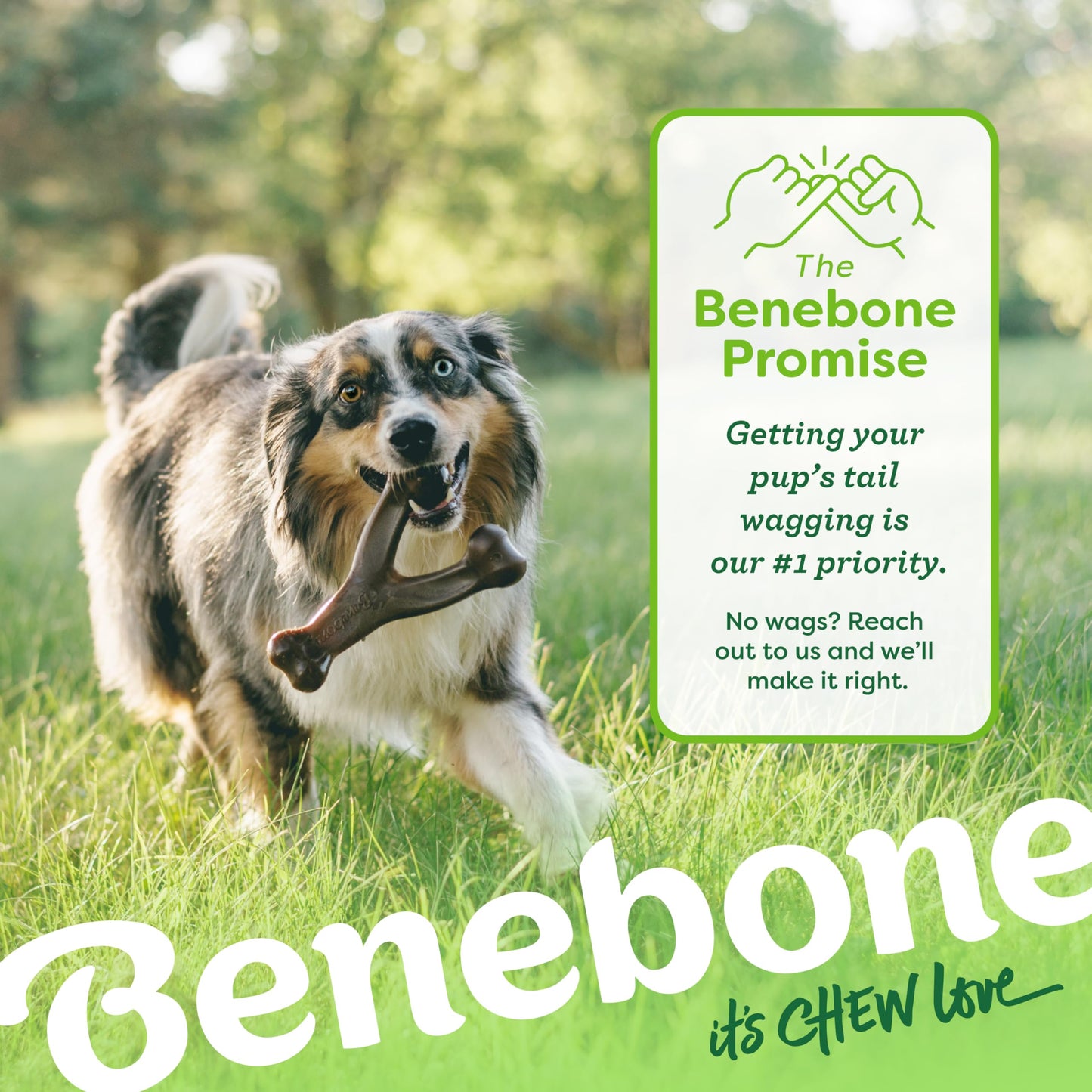 Benebone Wishbone Durable Dog Chew Toy for Aggressive Chewers, Real Chicken, Made in USA, Medium 🍁 All In One Marketplace Canada