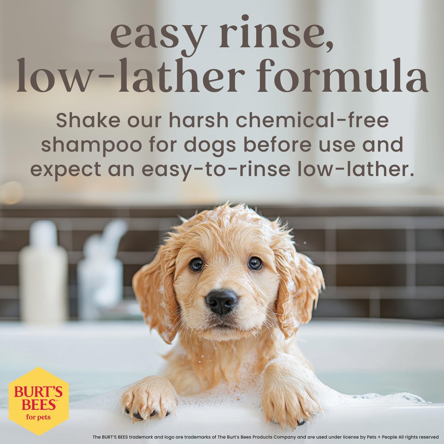 Burt's Bees for Puppies Natural Tearless 2 in 1 Shampoo and Conditioner | Made with Buttermilk and Linseed Oil | Best Tearless Puppy Shampoo for Gentle Skin and Coat | Made in USA, 16 Oz