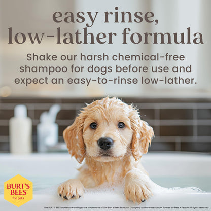 Burt's Bees for Puppies Natural Tearless 2 in 1 Shampoo and Conditioner | Made with Buttermilk and Linseed Oil | Best Tearless Puppy Shampoo for Gentle Skin and Coat | Made in USA, 16 Oz