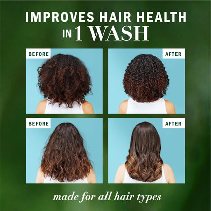 Herbal Essences, Argan Oil Paraben Free Shampoo and Conditioner, Dual Pack, Hair Repair, with Certified Camellia Oil and Aloe Vera, For All Hair Types, Especially Damaged Hair, 600 mL Each - Available at All In One Marketplace Canada