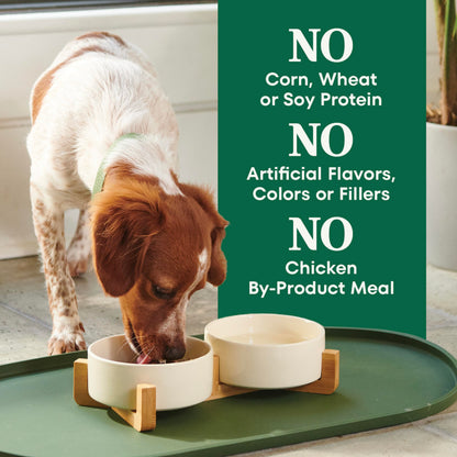 Nutro Natural Choice Adult Dry Dog Food, Chicken Flavour, 2.27kg