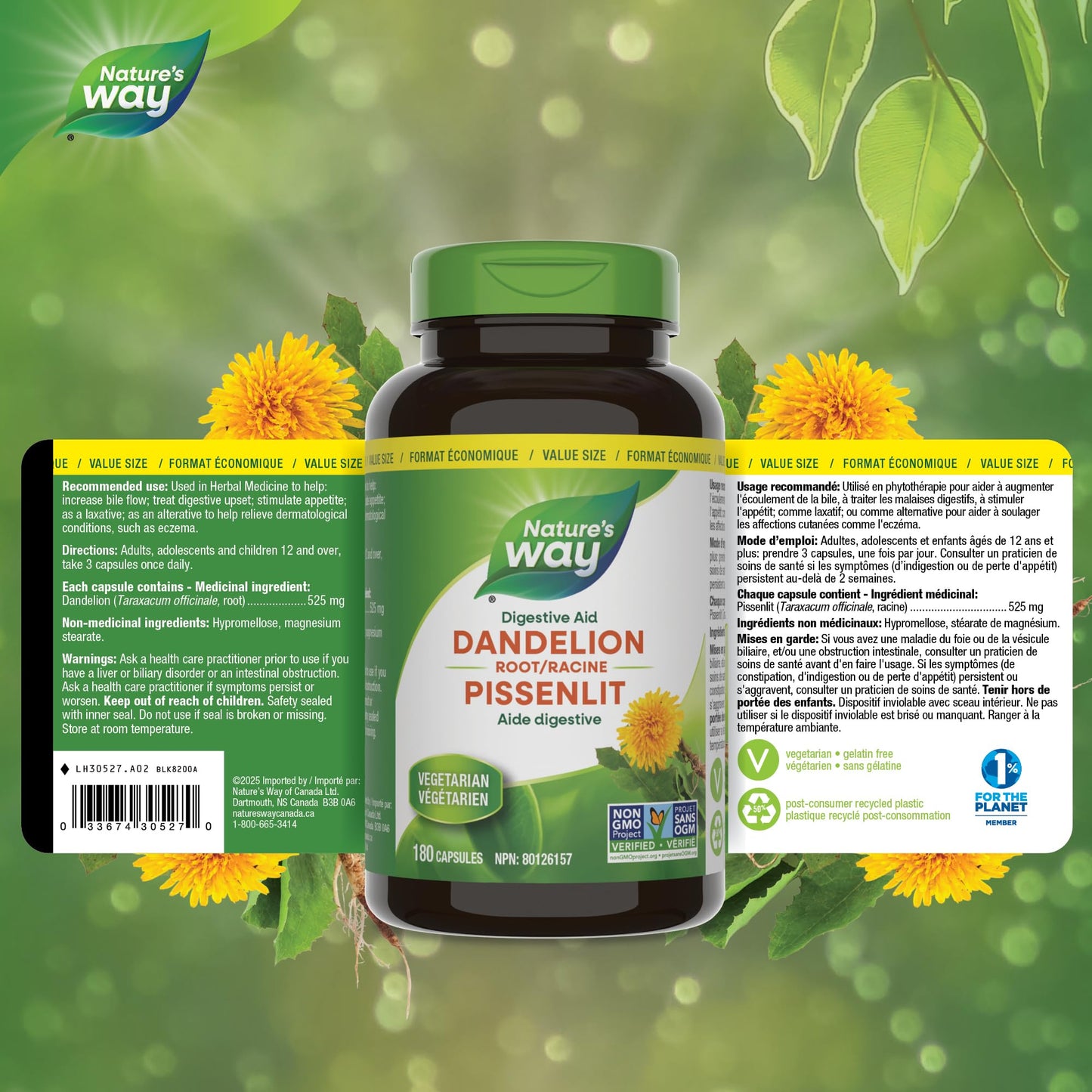 Nature's Way Dandelion Root - Digestion Supplement – Diuretic Laxative - Non-GMO Verified - 180 Vegetarian Capsules, Value Size Nature's Way
