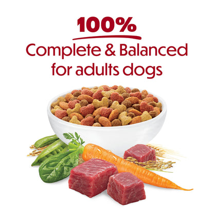 Beneful Originals Dry Dog Food, Real Beef - 7 kg Bag (1 Pack) 🍁 All In One Marketplace Canada