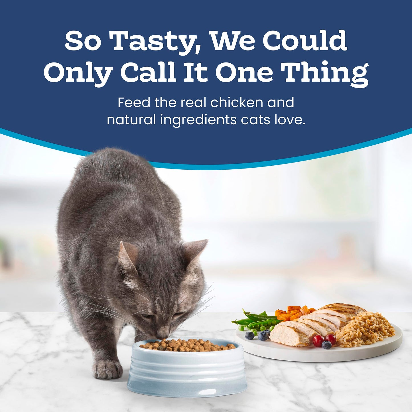 Blue Buffalo Tastefuls Chicken & Brown Rice Recipe Sensitive Stomach Adult Dry Cat Food, Real Chicken First, Deliciously Healthy Natural Cat Food, Natural Ingredients, Supports Digestion, 3.1kg Bag