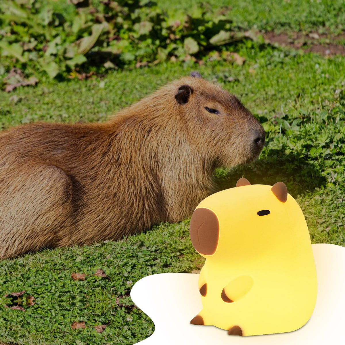YuanDian Capybara Night Light - Adorable Gift for Women, Teen. Decorate Bedroom with Cute Silicone Capybara Nightlights Christmas for Girls and Boys 🍁 All In One Marketplace Canada