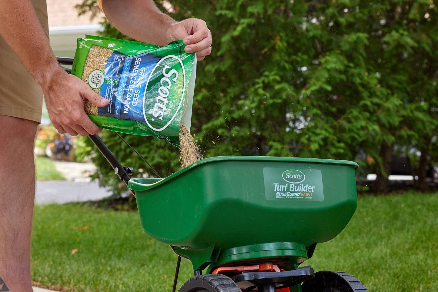Scotts Grass Seed All Purpose Mix, 5kg (900 sq Meters / 9,683 sq feet Coverage) | Grows in Sun & Shade, Fast Germination | New Lawn or Overseeding Existing Lawn Scotts