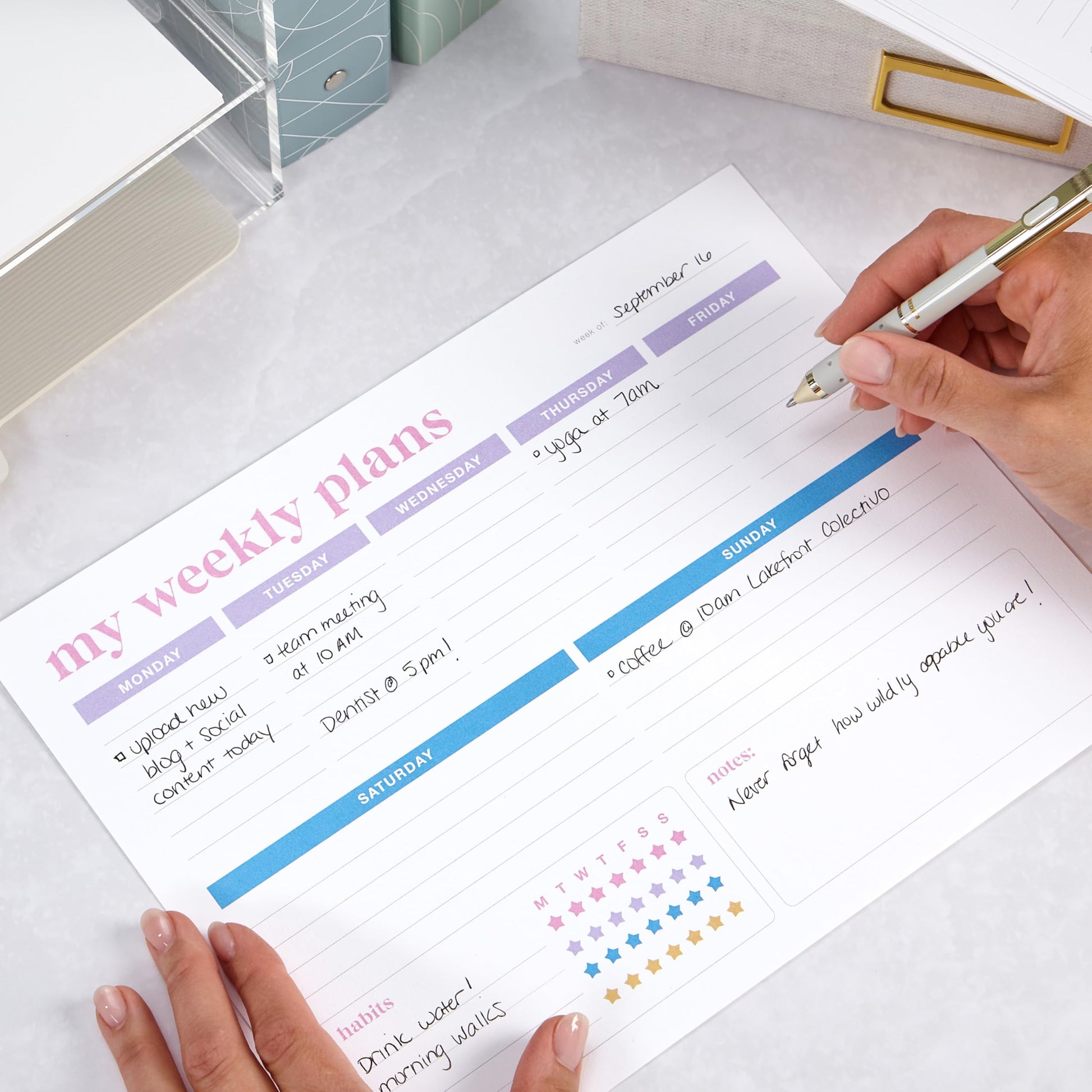 Neenah Vellum Bristol Cardstock, Lightweight, 325 Sheets, 67 lb/147 gsm, 94 Brightness, 8.5" x 11" - MORE SHEETS! (91633) Neenah