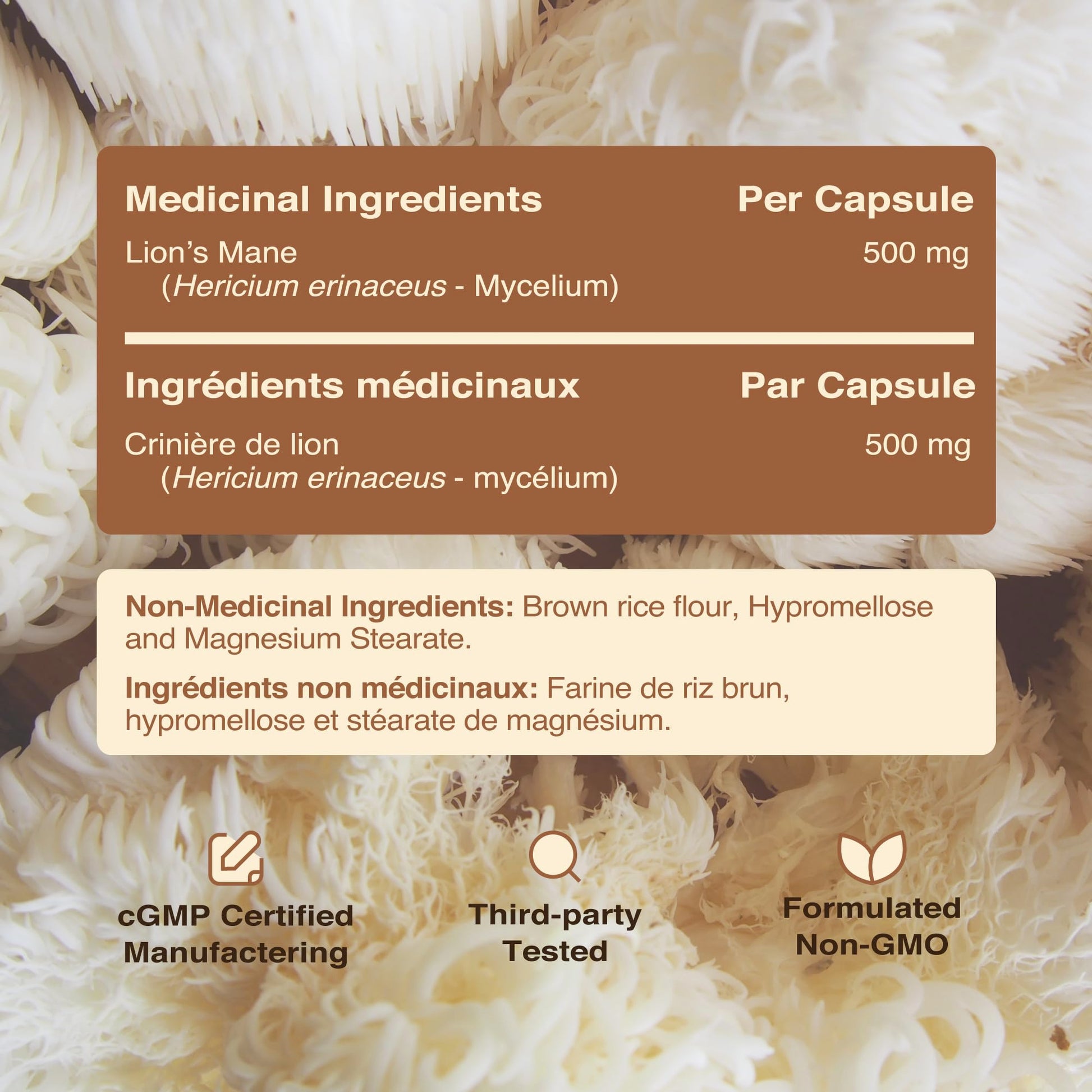 Lion’s Mane Supplement & Nootropic for Mental Clarity | 4 Month Supply | Performance & Memory Support | Antioxidant Rich & Immunomodulating Mushroom | Extra Strength Lions Mane 500mg | Non-GMO 120ct - Available at All In One Marketplace Canada