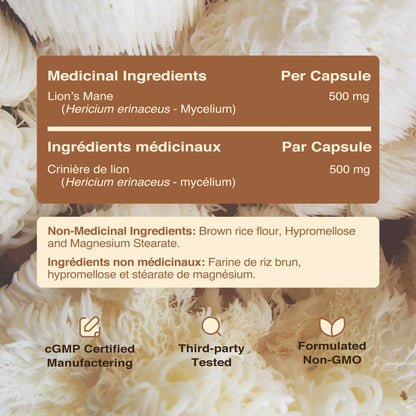 Lion’s Mane Supplement & Nootropic for Mental Clarity | 4 Month Supply | Performance & Memory Support | Antioxidant Rich & Immunomodulating Mushroom | Extra Strength Lions Mane 500mg | Non-GMO 120ct - Available at All In One Marketplace Canada