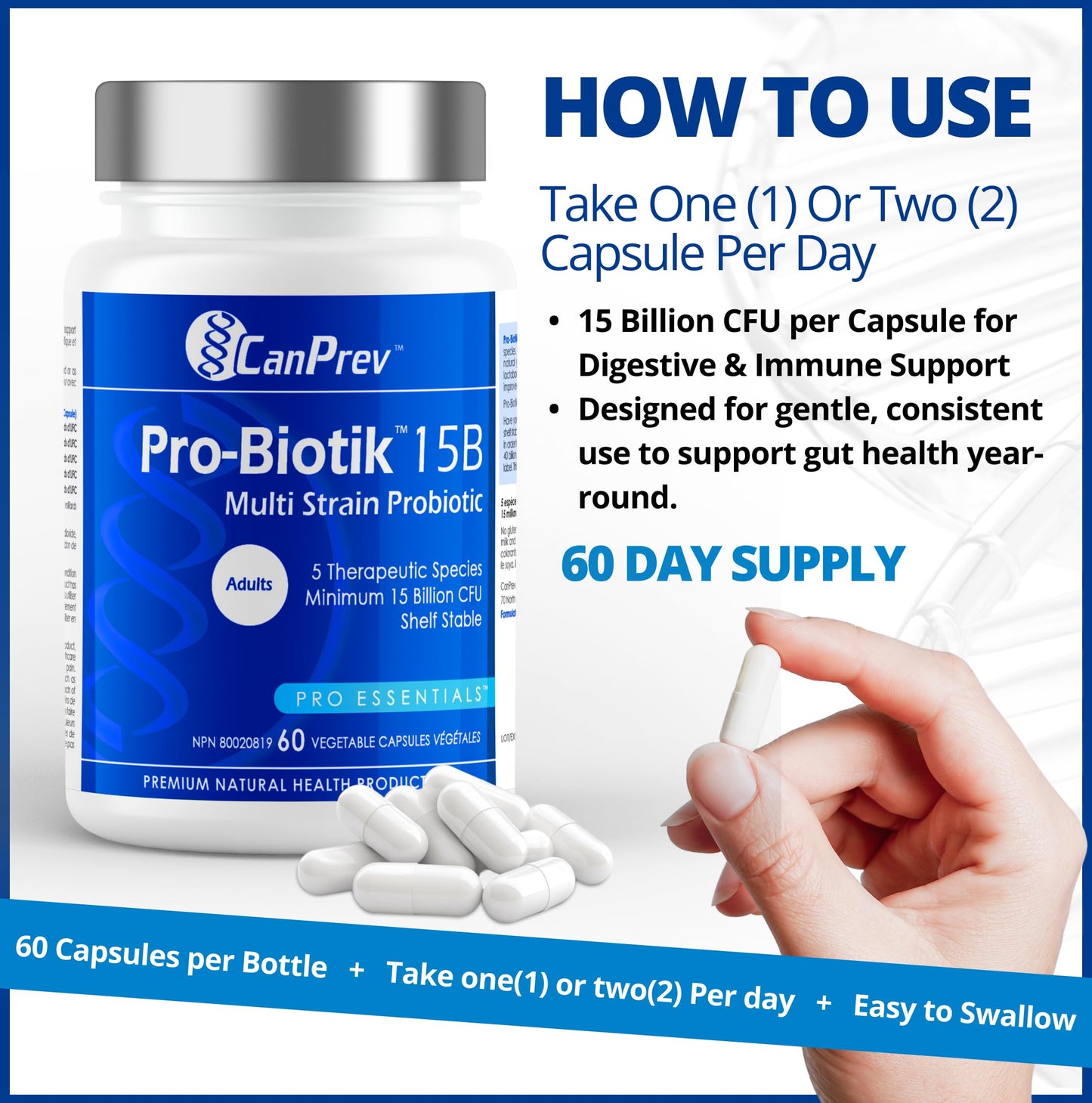 CanPrev Pro-Biotik 15 Billion CFU, 60 V-Caps 60-Day Supply - Non-GMO & Gluten-Free - Advanced Gut Health Formula with 5 Probiotic Strains Supplement - Supports Digestive Balance and Eases Bloating - Available at All In One Marketplace Canada