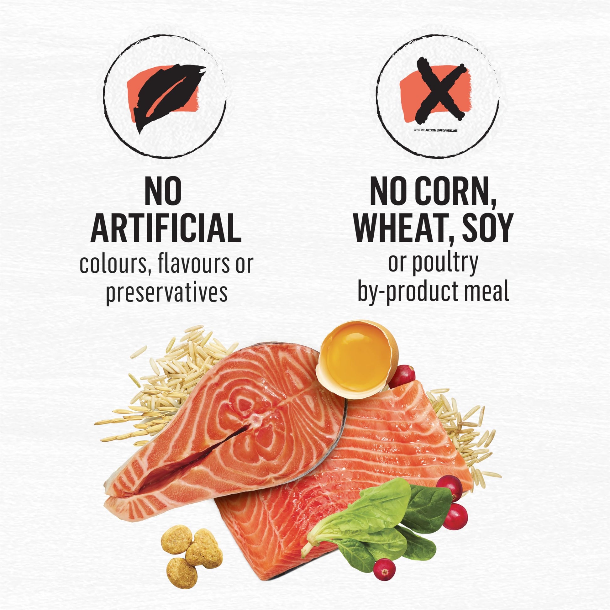 Beyond Simply Natural Dry Cat Food, Salmon & Whole Brown Rice - 2.72 kg Bag - Available at All In One Marketplace Canada