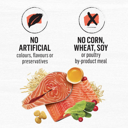 Beyond Simply Natural Dry Cat Food, Salmon & Whole Brown Rice - 2.72 kg Bag - Available at All In One Marketplace Canada