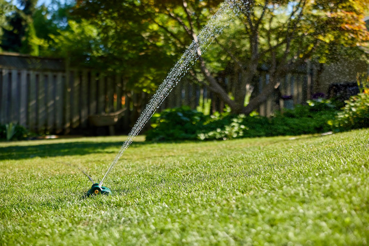 Scotts Turf Builder Grass Seed All Purpose Mix, 5kg (1,230 sq Meters / 13,239 sq feet Coverage) | Sun & Shade Formula to overseed or to Grow a new Thick, Lawn 🍁 All In One Marketplace Canada