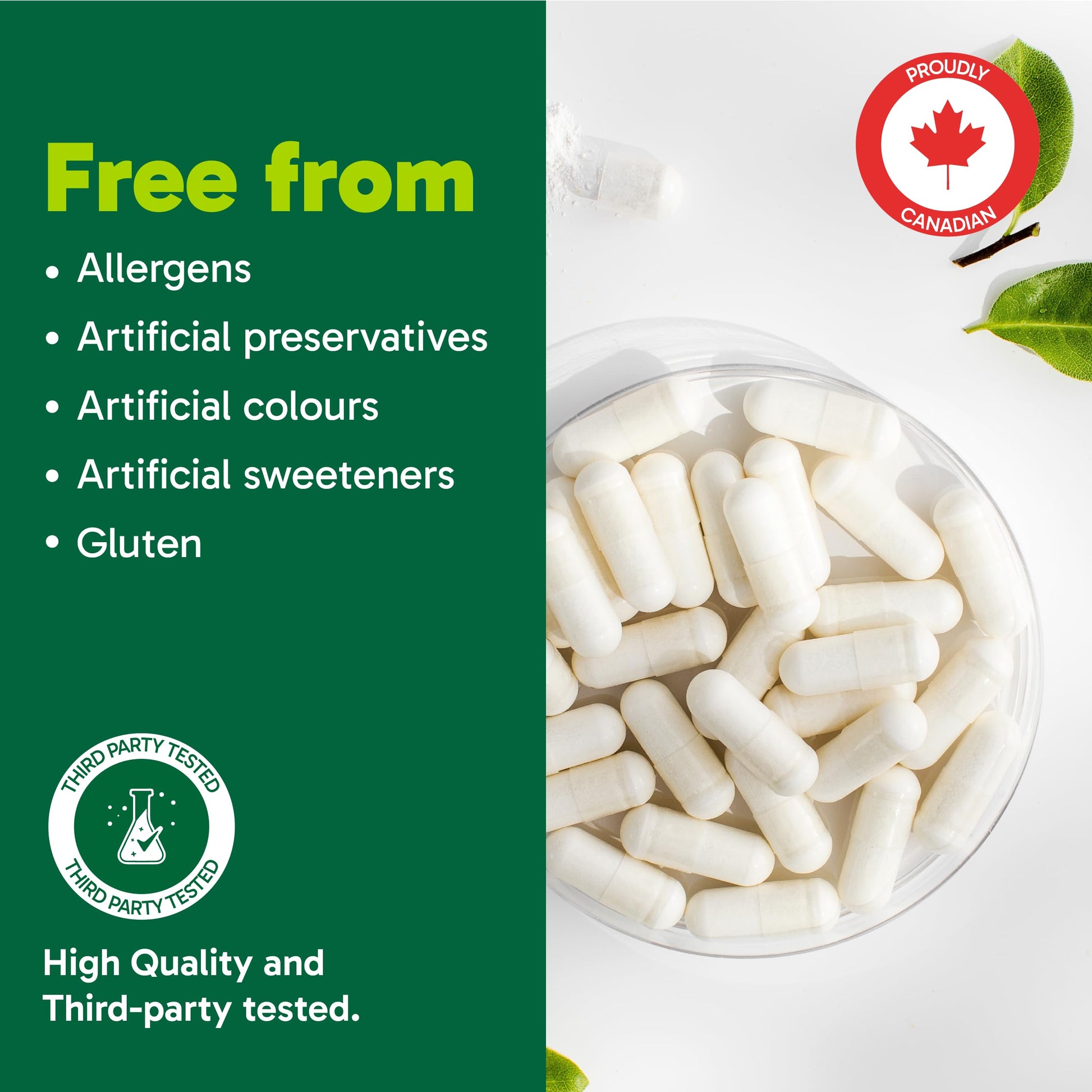 Organika Nattokinase 2000 FU Cardiovascular Support – High-Potency, Heart & Blood Circulation Supplement– One Capsule per Day, Non-GMO, Vegan, Gluten-Free – 90vcaps - Available at All In One Marketplace Canada