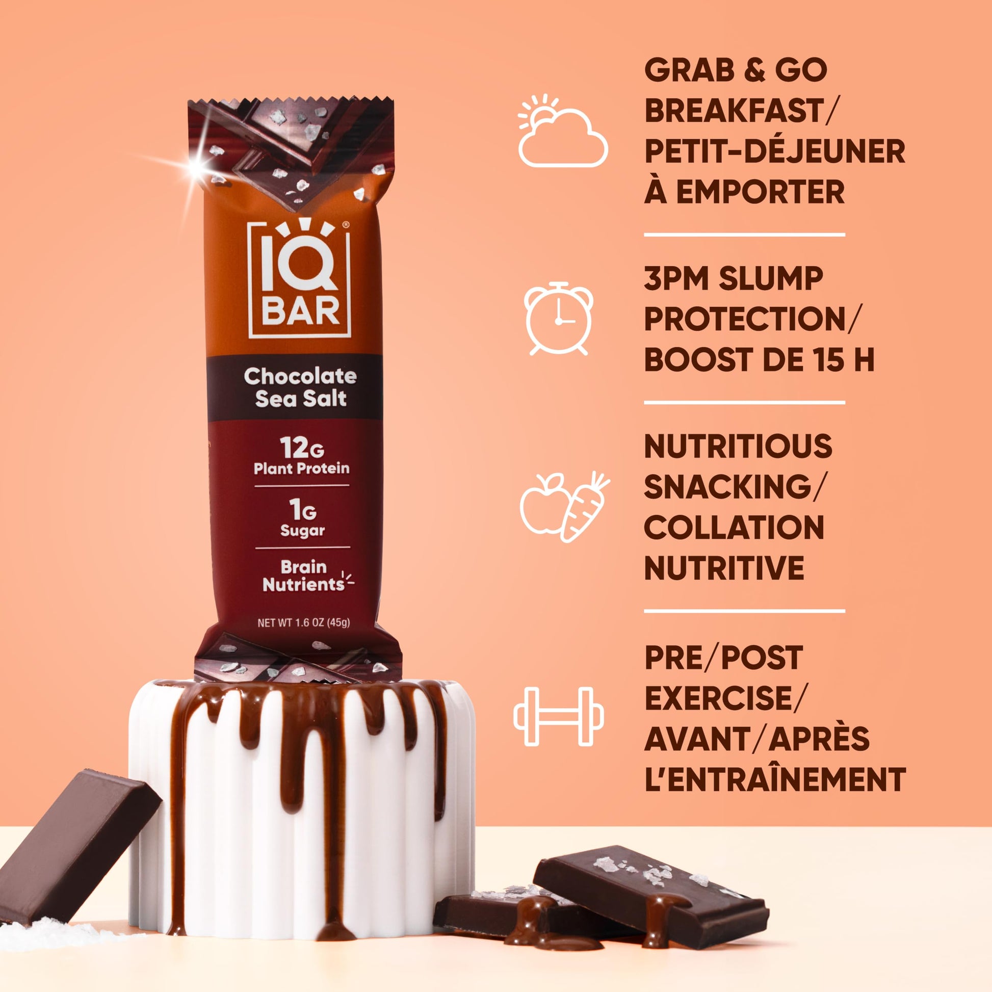 IQBAR Chocolate Sea Salt Plant Protein Bars - 12 Pack | Low Carb, Vegan, High Fiber