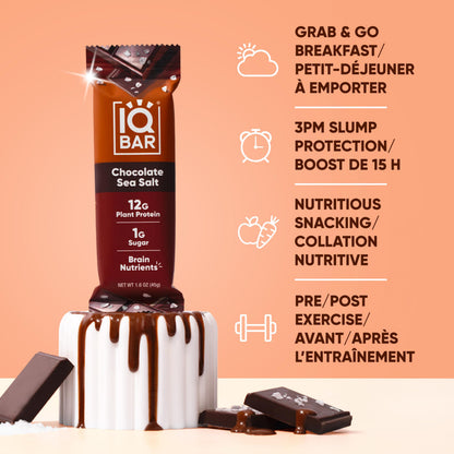 IQBAR Chocolate Sea Salt Plant Protein Bars - 12 Pack | Low Carb, Vegan, High Fiber