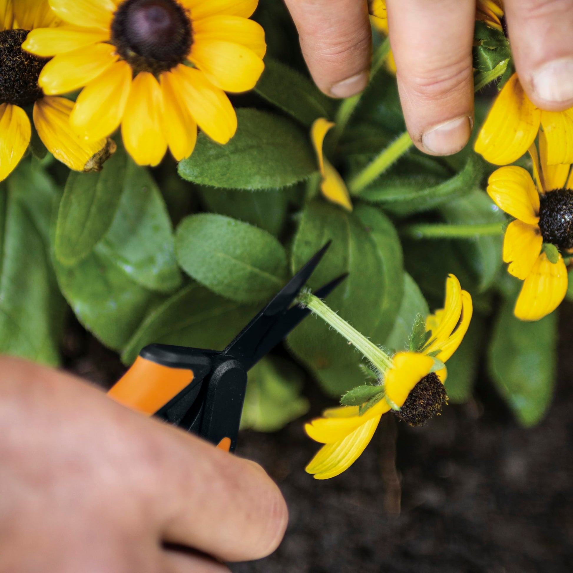 Fiskars Non-Stick Softgrip Micro-Tip Pruning Snip Fiskars