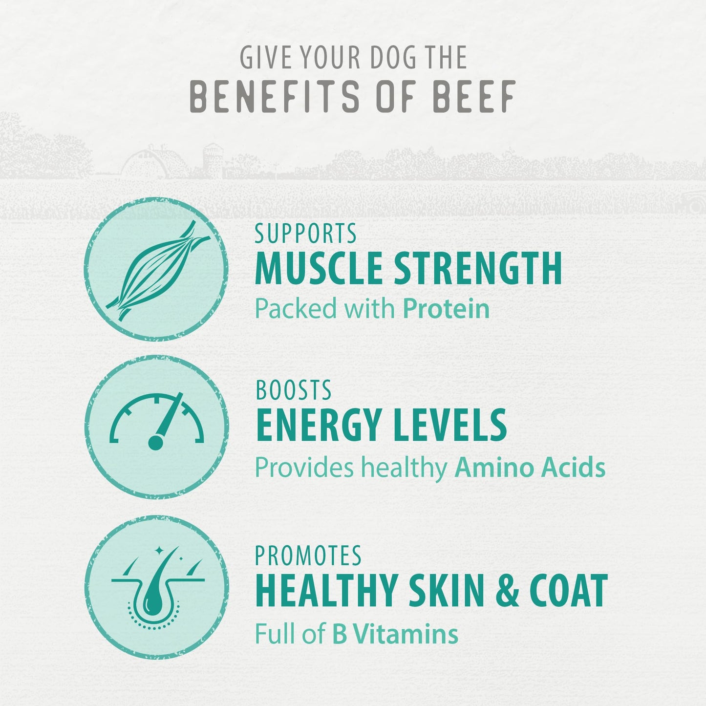 Caledon Farms, Value Pack Chewy Beef Sticks, 680 g, Dog Treats 🍁 All In One Marketplace Canada