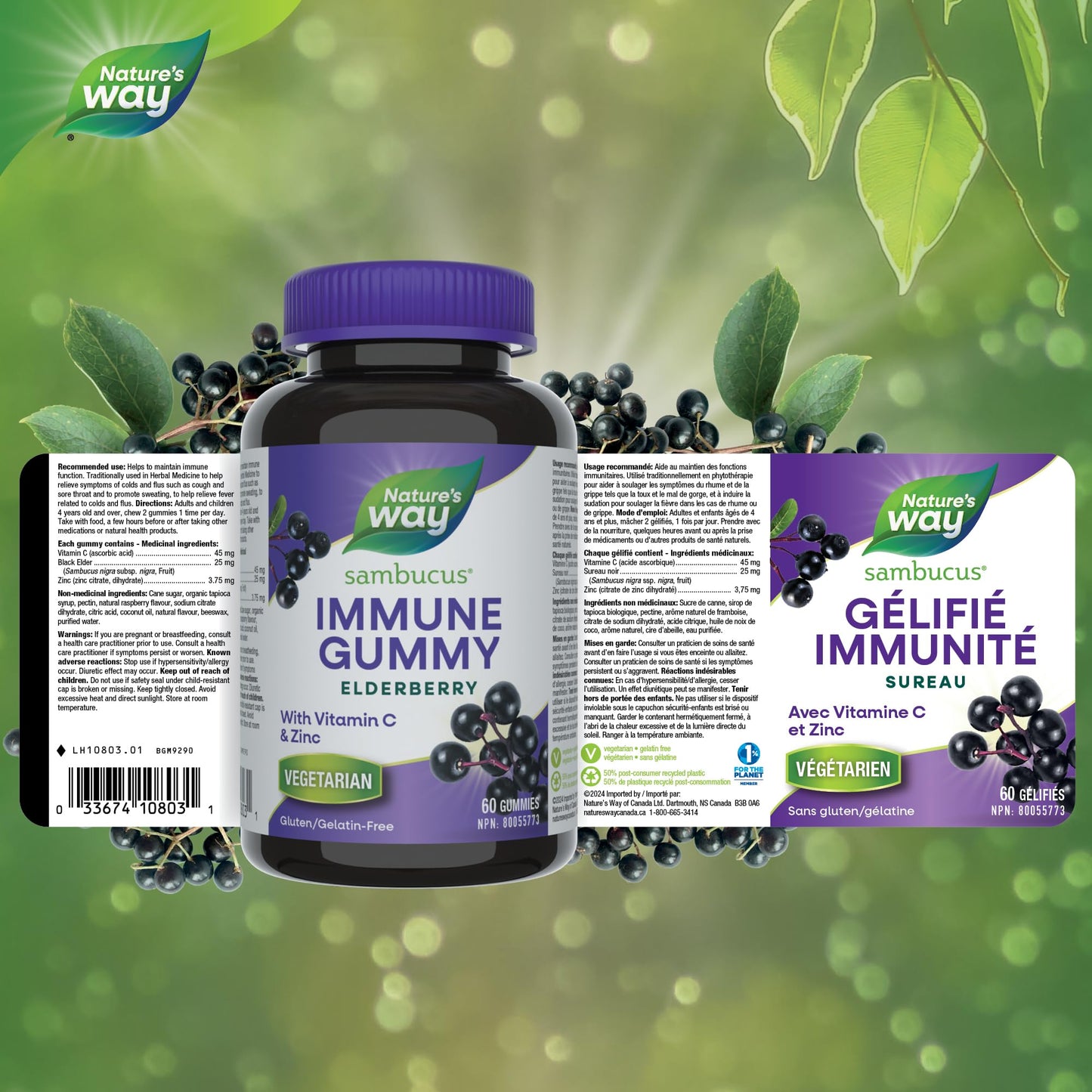 Nature's Way Sambucus Immune Support Gummies – Elderberry with Vitamin C & Zinc – Supports Immune Function and Relieves Cold & Flu Symptoms – Vegetarian, Gluten-Free for Adults & Kids 4+ – 60 Gummies - Available at All In One Marketplace Canada