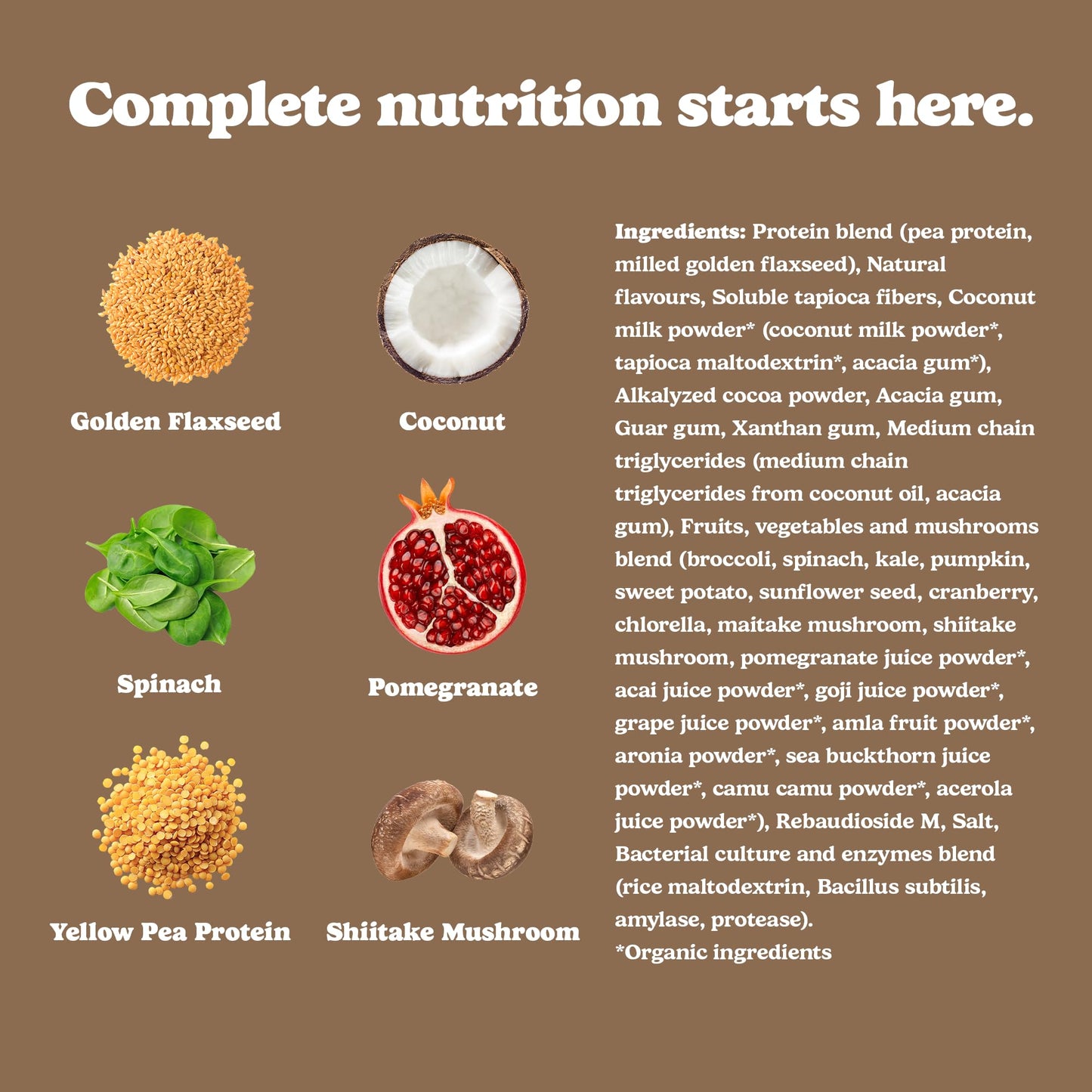 Good Protein Vegan Plant-based Protein Powder 100% Natural, Non-GMO, Dairy-free, Gluten-free, Soy-free, No Added Sugar and Nothing Artificial. Chocolate Fudge All-in-One Shake 880 grams