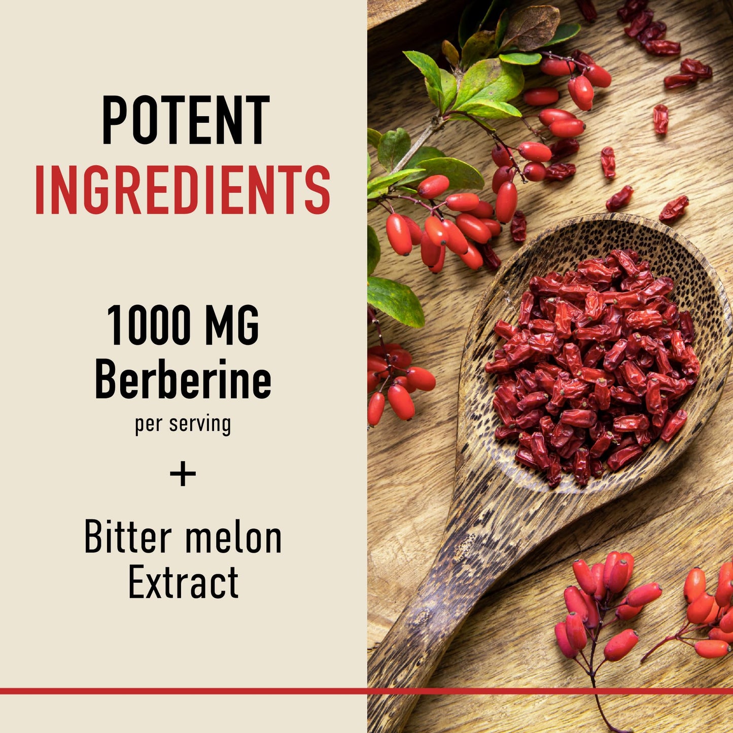 Berberine HCL Supplement | 1000mg | High Potency | Support Glucose Metabolism & Cardiovascular Health | 500mg Per Capsule | With Bitter Melon | Non-GMO, Third-Party Tested | 90 Ct. (45-Day Supply) - Available at All In One Marketplace Canada