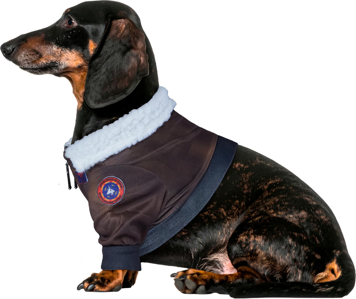 Costume pour animal de compagnie Rubies Top Gun Classic Movie, très grande taille, pour soirées à thème et Halloween