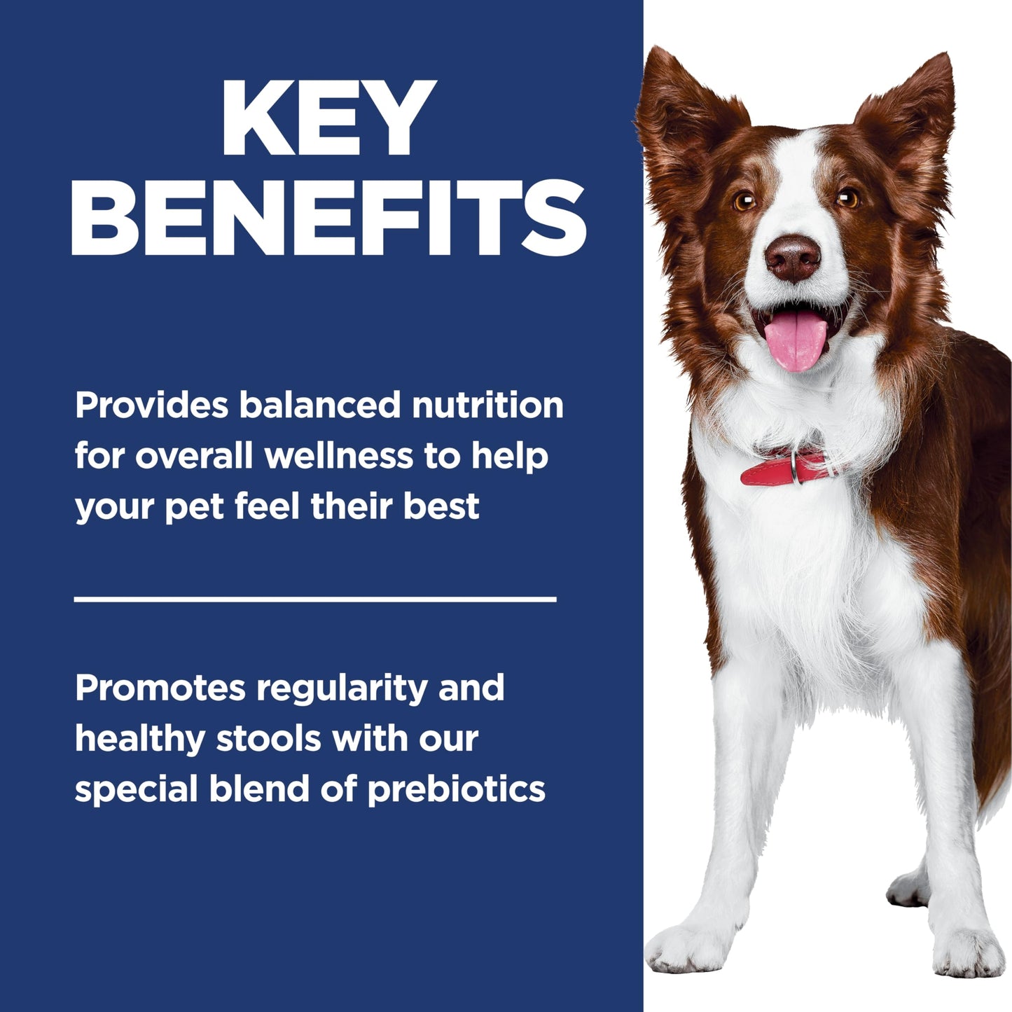 Hill's Science Diet Adult Perfect Digestion Chicken, Brown Rice & Whole Oats Recipe Dry Dog Food 10.0 kg Bag 🍁 All In One Marketplace Canada