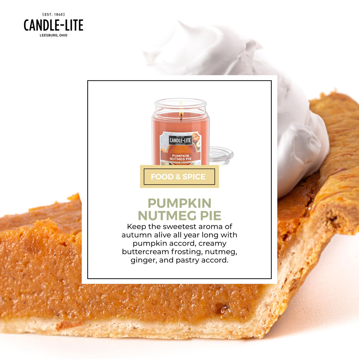 Bougies parfumées d'Halloween Candle-lite, Tarte à la citrouille et noix de muscade, pot de 510 g, fièrement coulée aux États-Unis, bougie d'aromathérapie, mèche unique avec 110 heures de combustion, idéale pour créer une ambiance accueillante