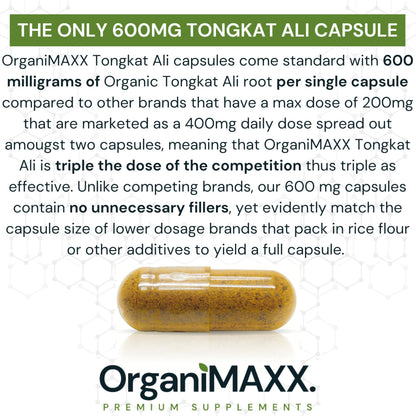 6X Strength Tongkat Ali 600 MG PER SINGLE CAPSULE 60,000 MG Equivalent 100:1 Extract Ratio Highest Potency, OrganiMAXX Longjack Eurycoma Longifolia Non-GMO Premium Tongkat Ali Supplement For Men. - Available at All In One Marketplace Canada