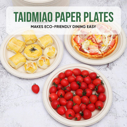 TaidMiao Disposable Paper Plate 9 inch,100% Compostable,100 Pack 🍁 All In One Marketplace Canada