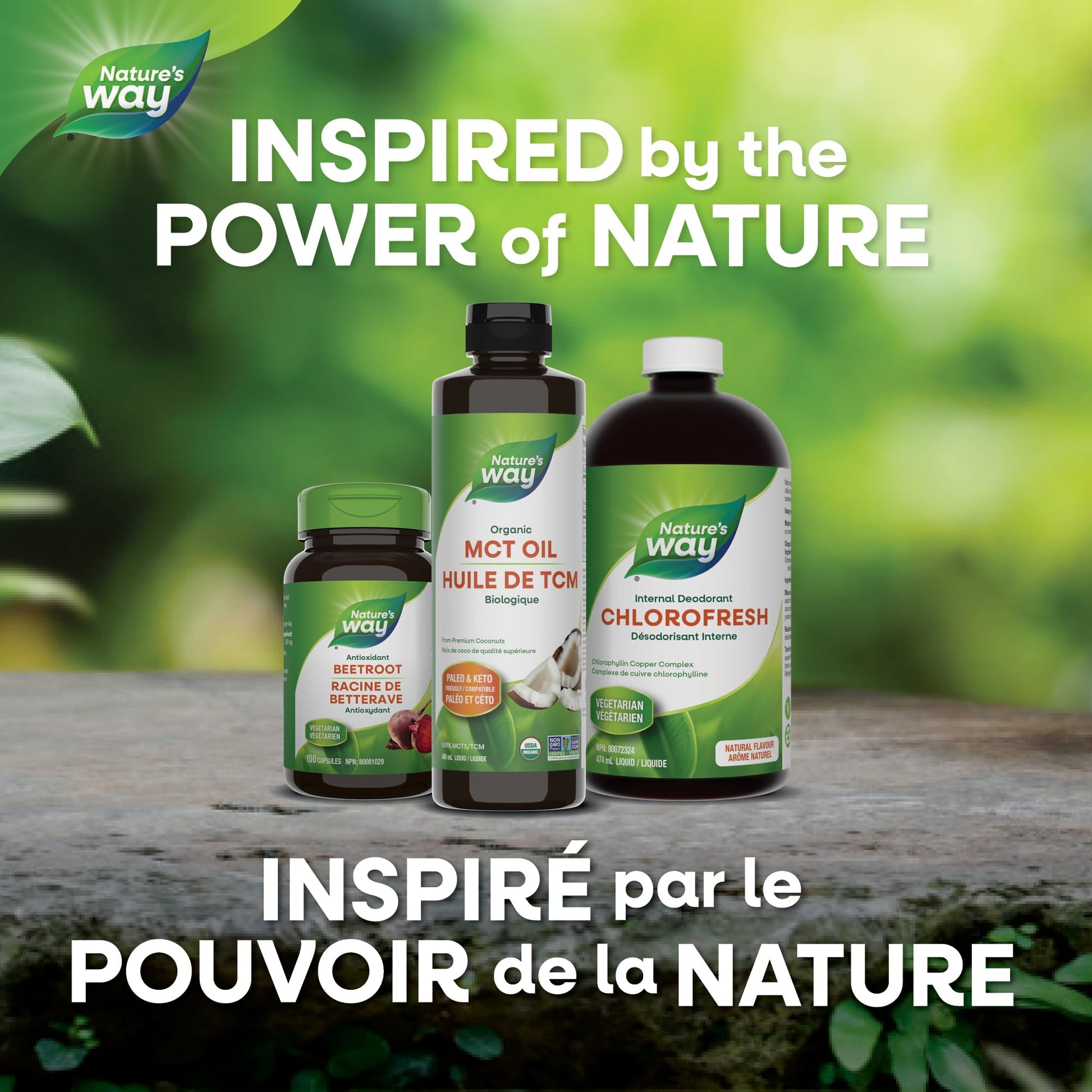 Nature's Way 100% Pure MCT Oil – Organic Coconut-Derived Medium Chain Triglycerides – No Palm or Filler Oils – Keto & Paleo Friendly – Non-GMO, Vegetarian, Gluten-Free, Flavourless – 480 mL Nature's Way