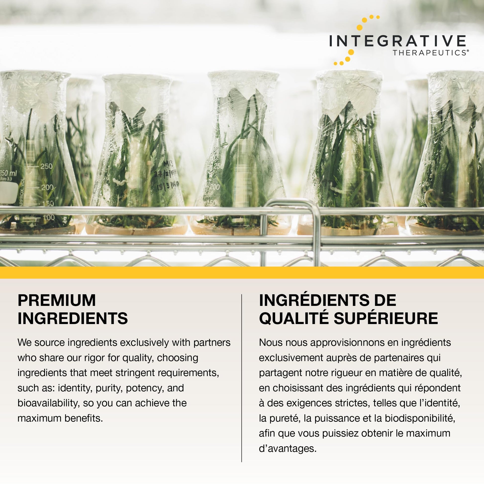 Integrative Therapeutics Zinc Carnosine – Premium Zinc Supplement – 75mg of Zinc Carnosine – Factor in the Maintenance of Good Health - PepZin GI – 60 Capsules - Available at All In One Marketplace Canada