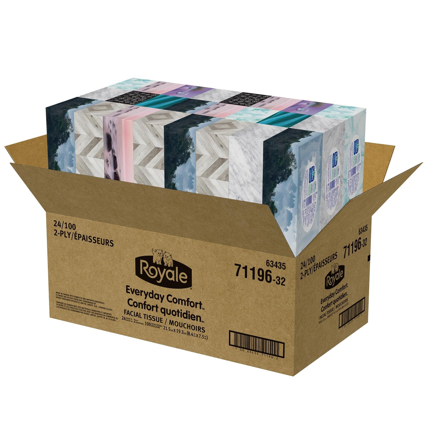Royale Everyday Comfort 2 Ply Facial Tissue, 24 Tissue Boxes, 100 Tissues per Box - Available at All In One Marketplace Canada