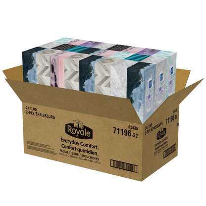 Royale Everyday Comfort 2 Ply Facial Tissue, 24 Tissue Boxes, 100 Tissues per Box - Available at All In One Marketplace Canada