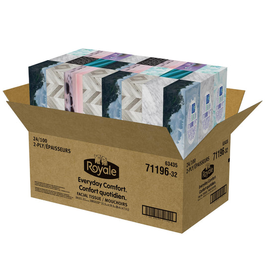 Royale Everyday Comfort 2 Ply Facial Tissue, 24 Tissue Boxes, 100 Tissues per Box - Available at All In One Marketplace Canada