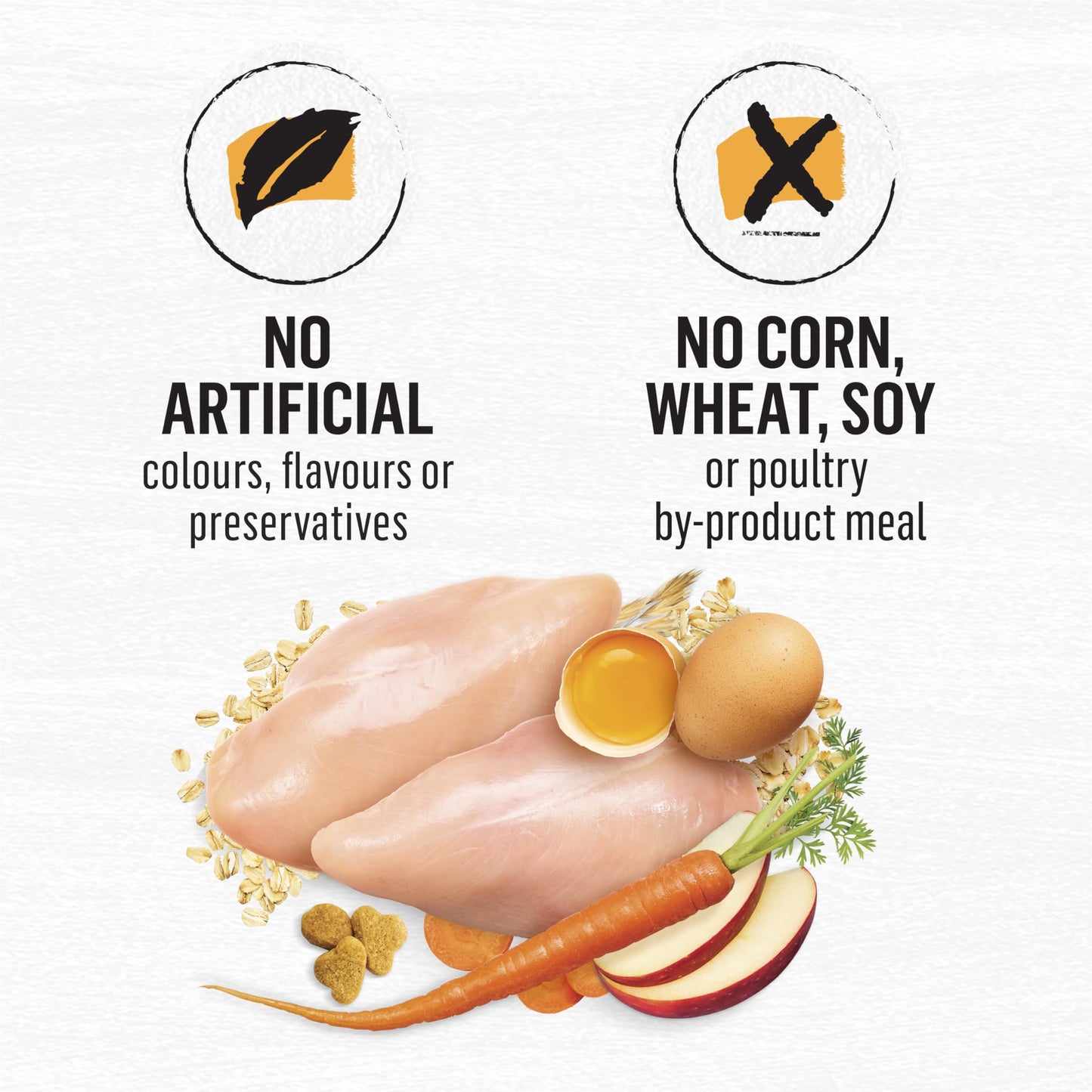 Beyond Dry Cat Food, Chicken & Whole Oatmeal 5.89kg 🍁 All In One Marketplace Canada