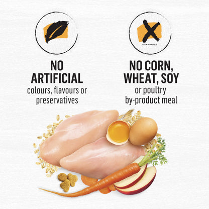 Beyond Dry Cat Food, Chicken & Whole Oatmeal 2.72kg 🍁 All In One Marketplace Canada