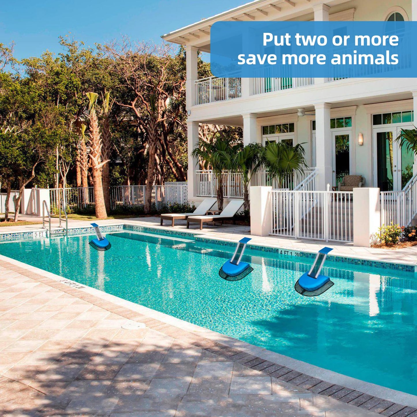 2Pcs Pro Animal Frog Wildlife Saving Saver Escape Ramp Bridge for Swimming Pool Floating Small Animal Critter Ducks Escape Ramp Frog Pads for Pool Log Device Reduces Maintenance Accessories (Blue, L) - Available at All In One Marketplace Canada
