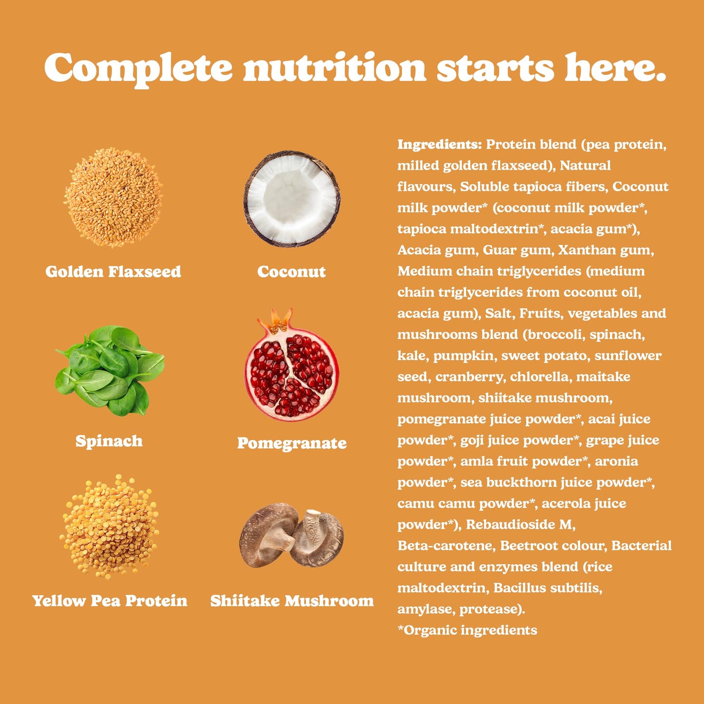 Good Protein Vegan Plant-based Protein Powder 100% Natural, Non-GMO, Dairy-free, Gluten-free, Soy-free, No Added Sugar and Nothing Artificial. Salted Caramel All-in-One Shake 440 grams