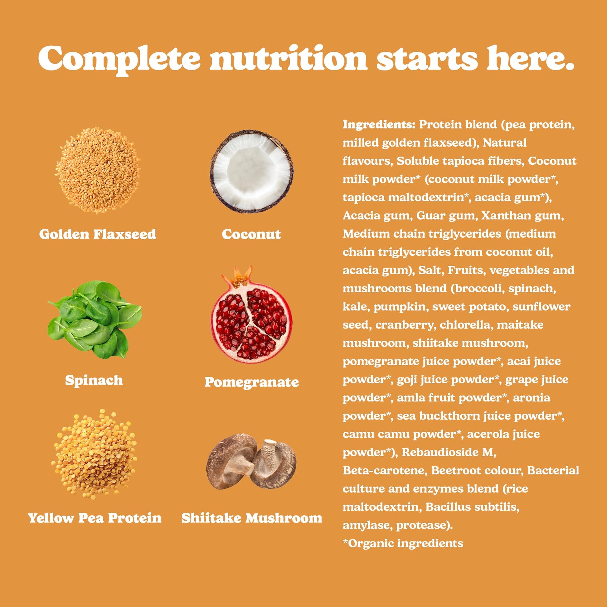Good Protein Vegan Plant-based Protein Powder 100% Natural, Non-GMO, Dairy-free, Gluten-free, Soy-free, No Added Sugar and Nothing Artificial. Salted Caramel All-in-One Shake 440 grams