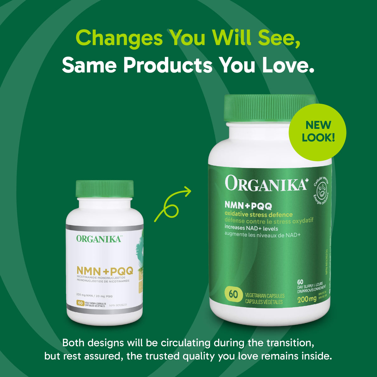 Organika Canadian-Made NMN + PQQ- Anti-Aging Support Supplement, Cellular Revitalization, Energy Metabolism, Cognitive Function- 60vcaps
