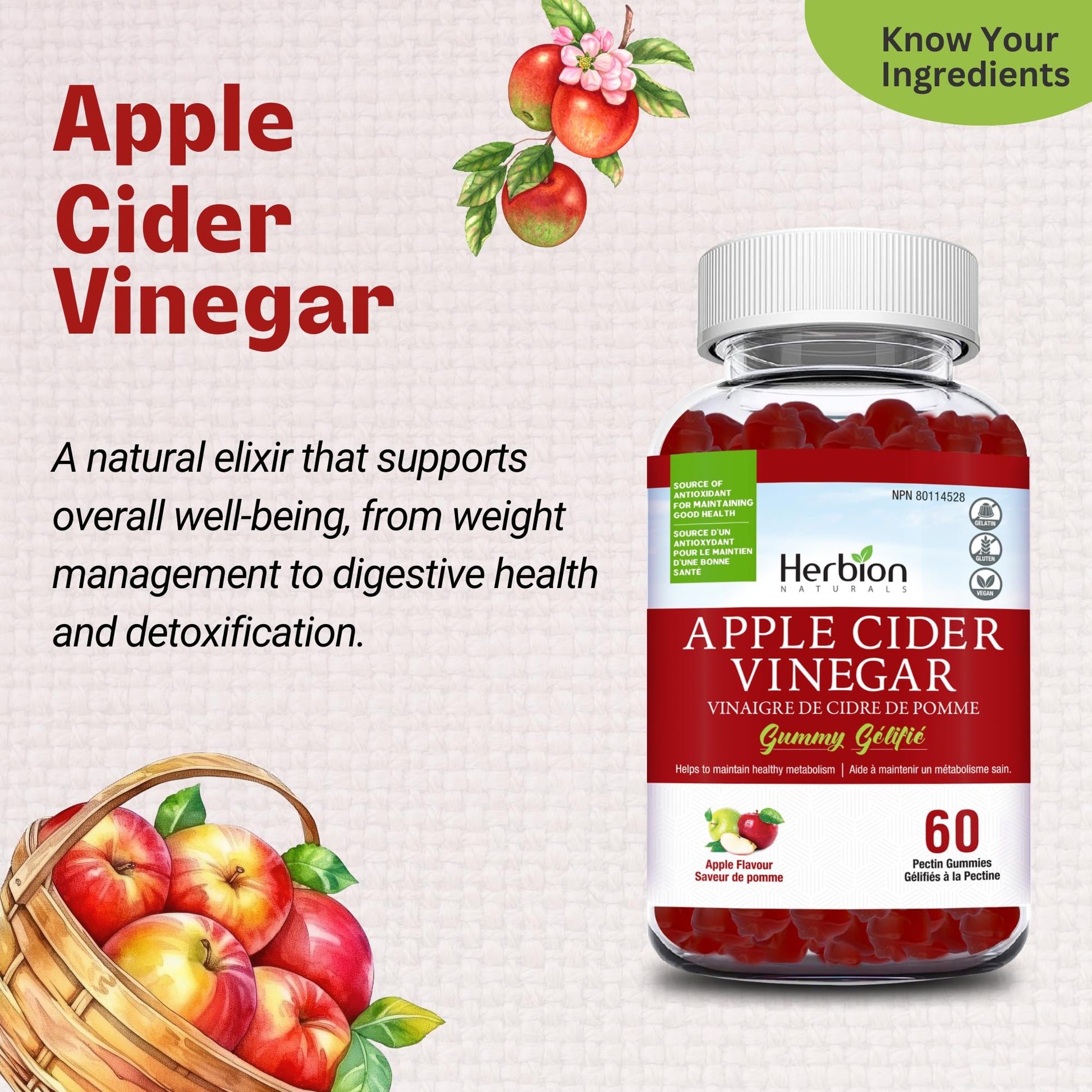 Herbion Naturals Apple Cider Vinegar Gummy with Folic Acid, Pomegranate, Beetroot & vitamin B12, source of Antioxidants to maintain Good Health & Metabolism, 60 Pectin Gummies for Adults, Apple Flavour - Available at All In One Marketplace Canada
