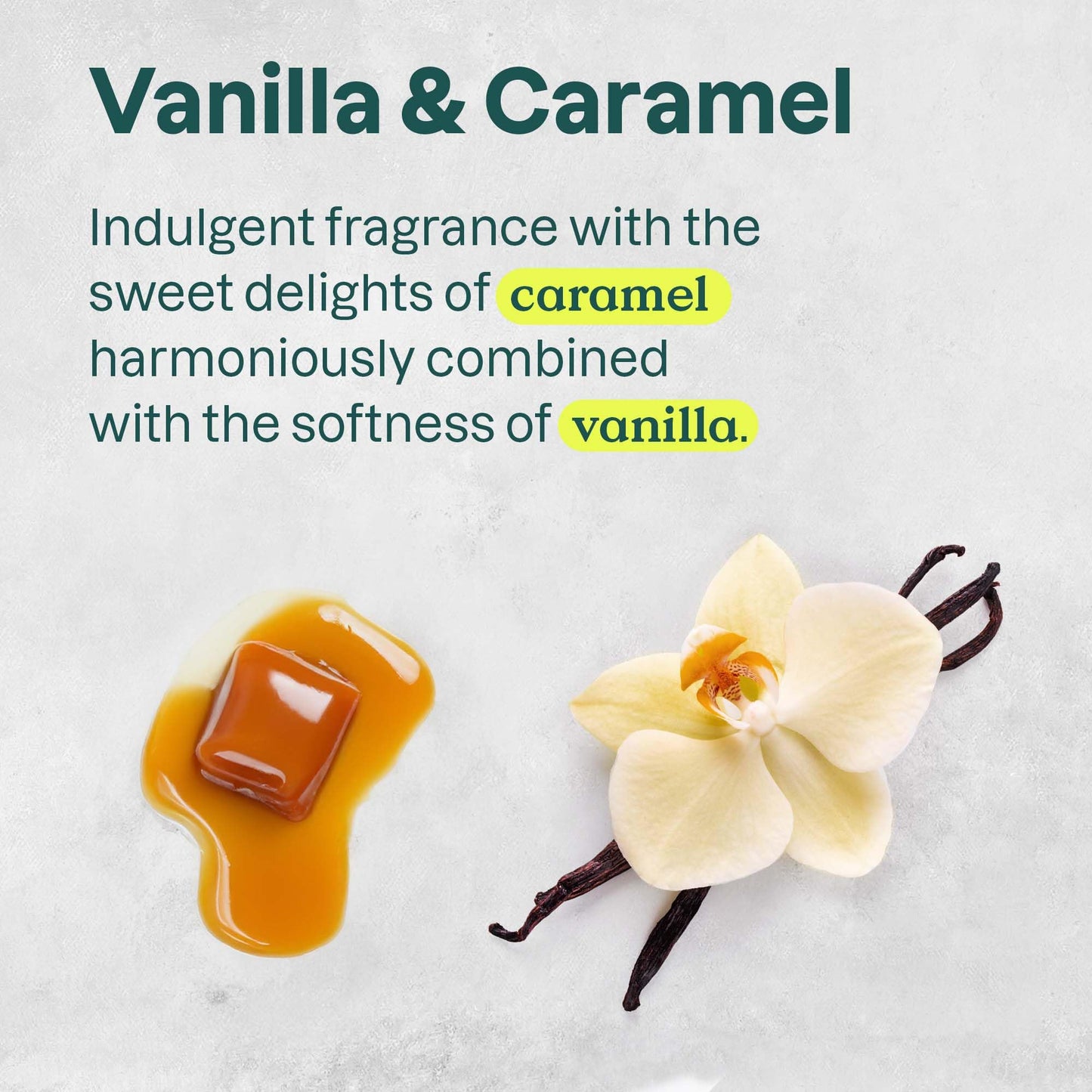 ATTITUDE Liquid Hand Soap Refill, EWG Verified, Made in Canada, Plant and Mineral-Based, Vegan Personal Care Products, Vanilla Caramel Scent, 2 L 🍁 All In One Marketplace Canada