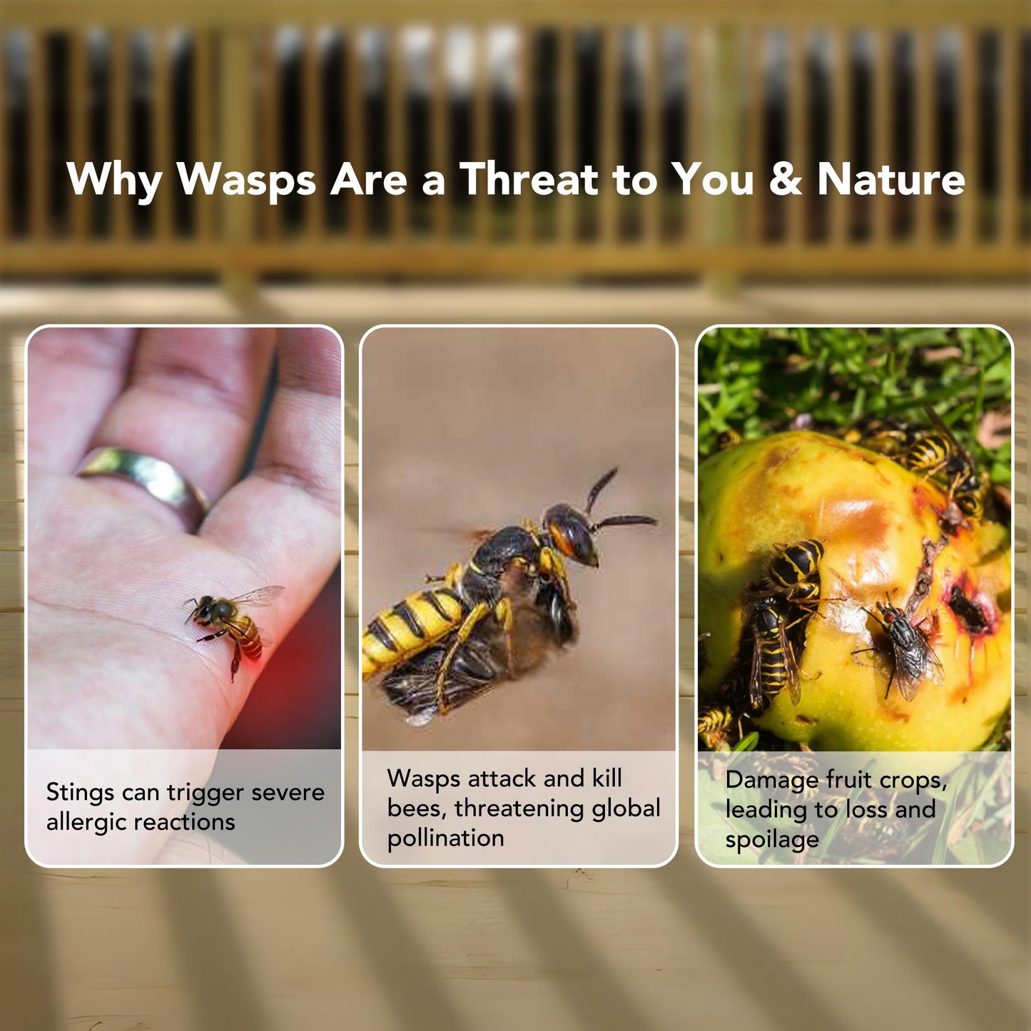 Aspectek Yellow Wasp Trap, 2 Pack, Outdoor Hanging Hornet, Yellow Jacket and Fly Catcher for Yard and Patio, Reusable, Easy Fill, Leak-Proof, Protect Garden, Patio, BBQ, Apple, Pear Trees, Berries