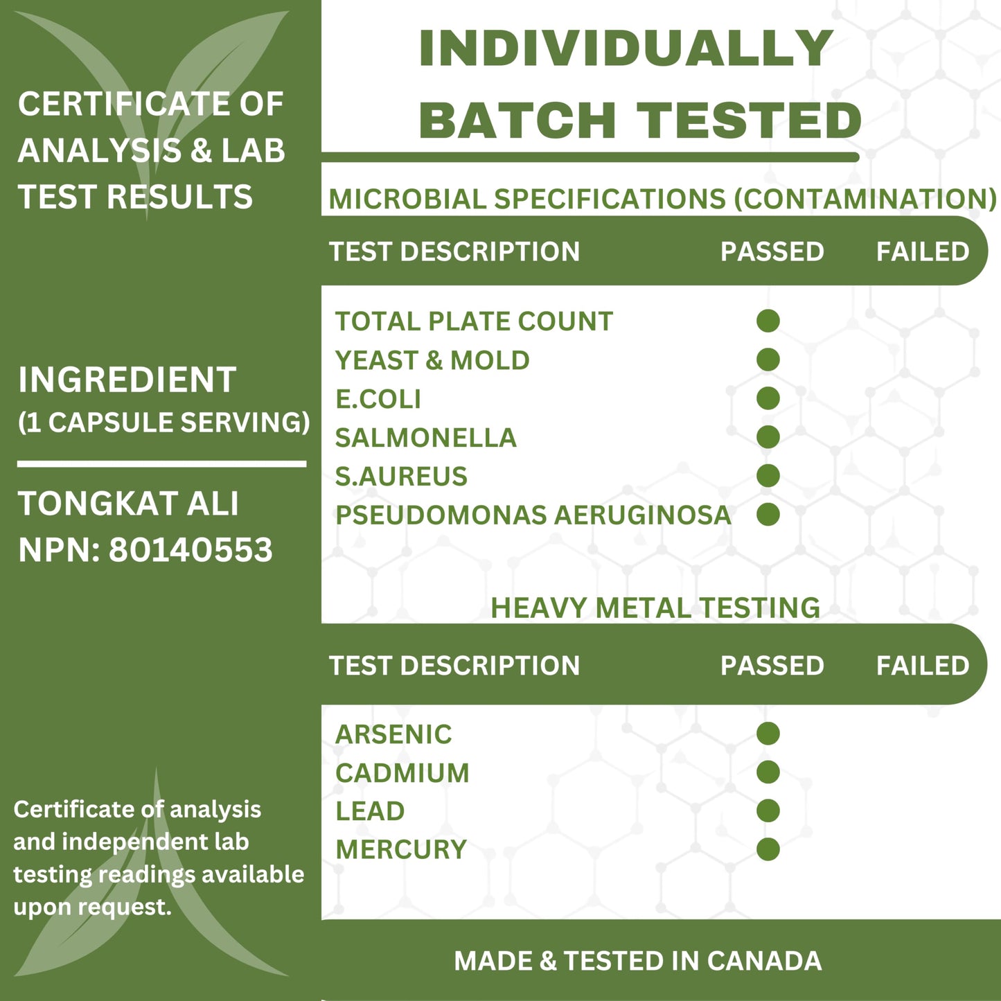 6X Strength Tongkat Ali 600 MG PER SINGLE CAPSULE 60,000 MG Equivalent 100:1 Extract Ratio Highest Potency, OrganiMAXX Longjack Eurycoma Longifolia Non-GMO Premium Tongkat Ali Supplement For Men. - Available at All In One Marketplace Canada