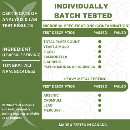 6X Strength Tongkat Ali 600 MG PER SINGLE CAPSULE 60,000 MG Equivalent 100:1 Extract Ratio Highest Potency, OrganiMAXX Longjack Eurycoma Longifolia Non-GMO Premium Tongkat Ali Supplement For Men. - Available at All In One Marketplace Canada