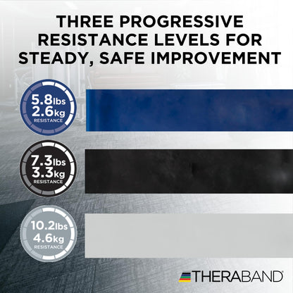 TheraBand Resistance Bands Set, Professional Non-Latex Elastic Band For Upper & Lower Body Exercise, Strength Training without Weights, Physical Therapy, & Pilates, Silver & Blue & Black, Advanced 🍁 All In One Marketplace Canada
