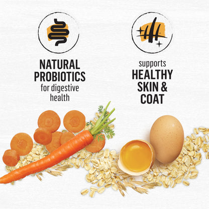Beyond Dry Cat Food, Chicken & Whole Oatmeal 5.89kg 🍁 All In One Marketplace Canada